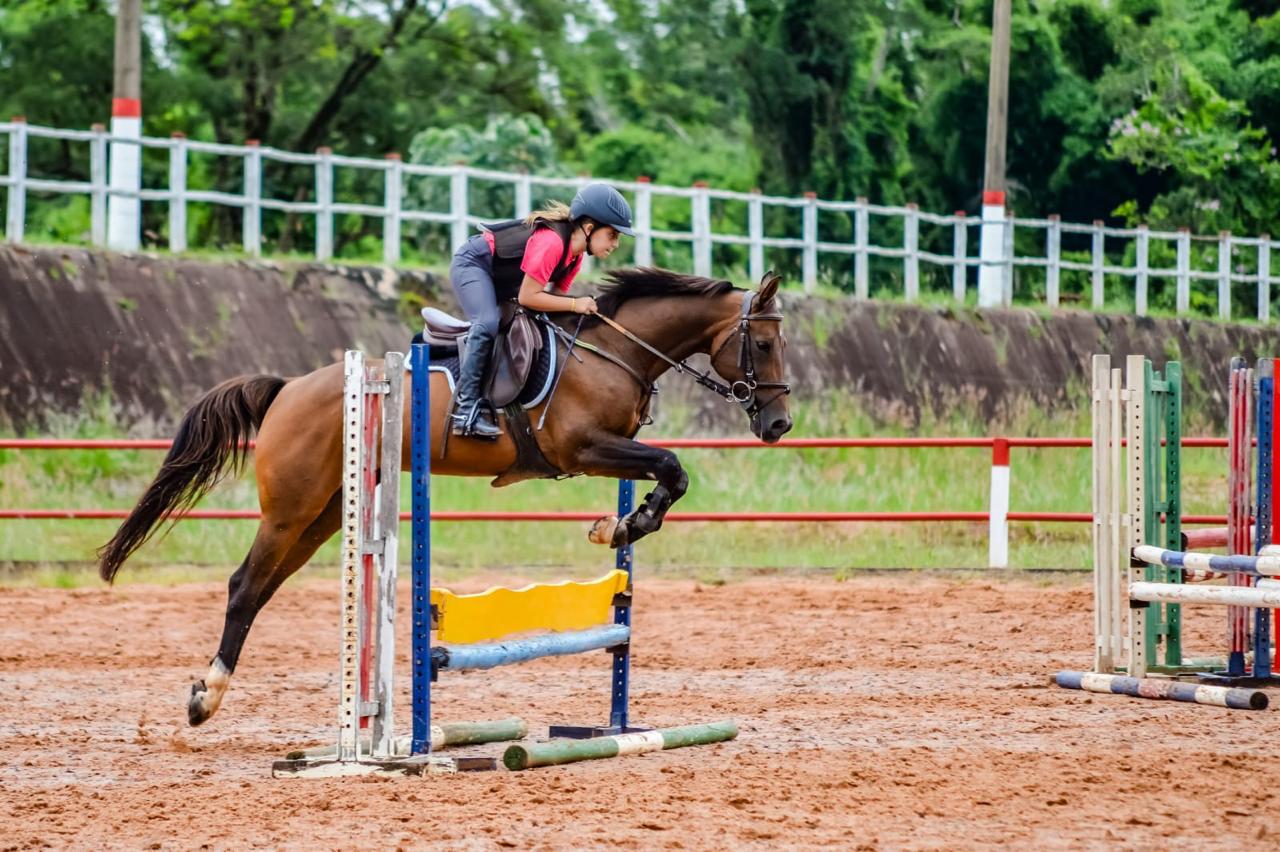 Criança saltando obstáculo em cavalo durante aula de hipismo